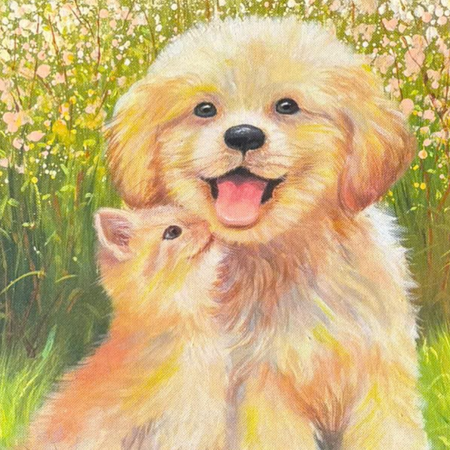 Nét ảnh bạn nhỏ của nắng